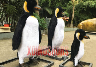 Penguin Group Models