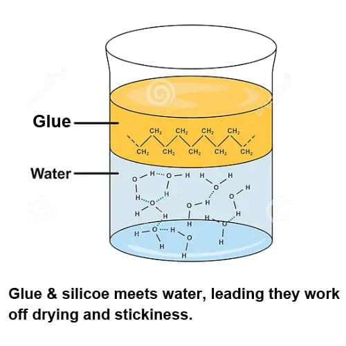 Water and Glue Water and Glue