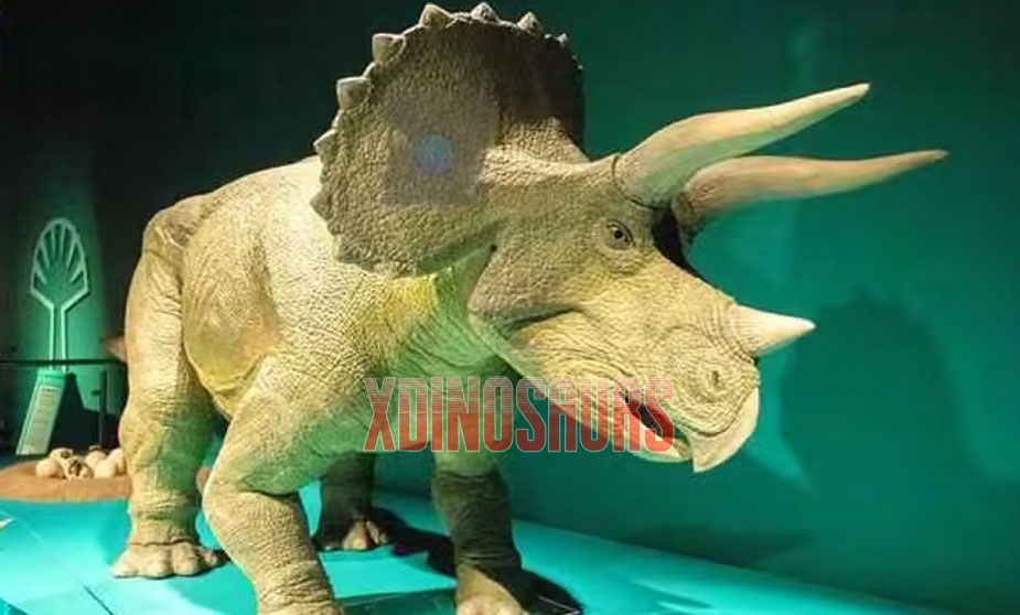 Big Triceratops Toy Model Big Triceratops Toy Model