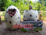 Dinosaur Eggshell in Dutch Wonderland