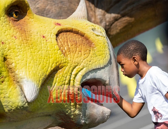 Kid Explores Dinosaur Kid Explores Dinosaur