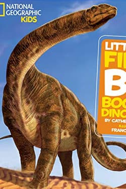 Little Kids First Big Book of Dinosaurs Little Kids First Big Book of Dinosaurs