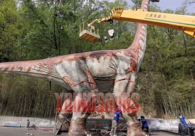 Install Big Brachiosaurus Model