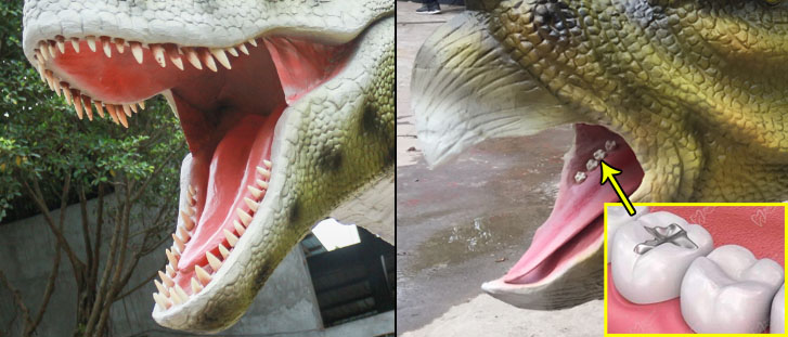 Dino Teeth Dino Teeth
