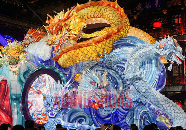 Loong Lantern Exhibits