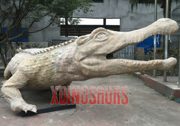 Big Crocodile Model in Silicone Skin Form
