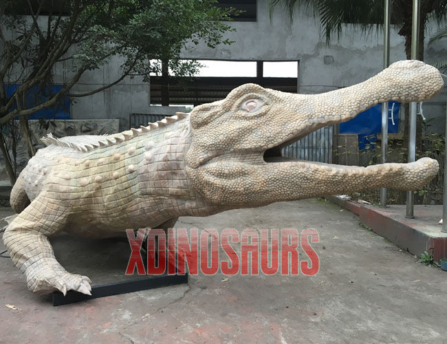 Big Crocodile Model in Silicone Skin Form