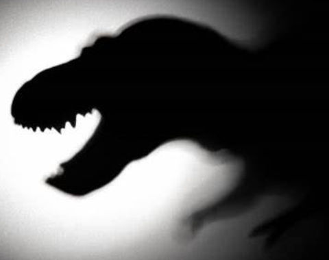 Dino Shadow