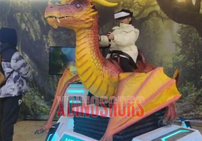 Dragon VR Riding Equipment