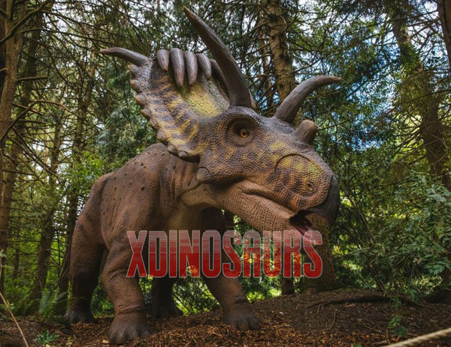 Kosmoceratops Model · Utica Zoo Kosmoceratops Model