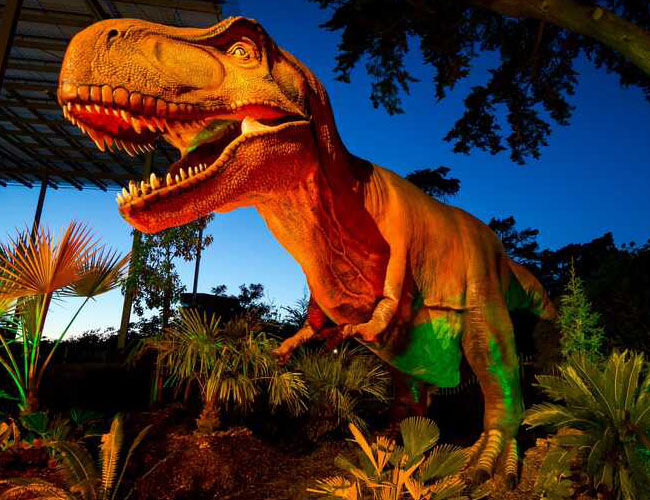 Life Size Trex Sculpture at the California Academy of Sciences Life Size Trex Sculpture