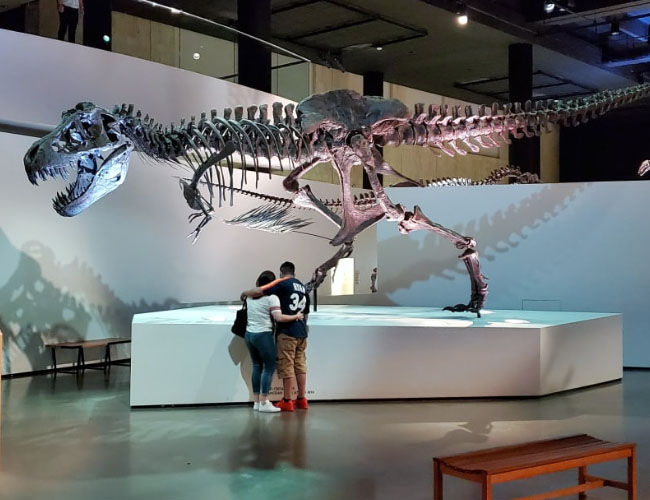 Trex Skeleton Exhibits · Houston Museum of Natural Science Trex Skeleton Exhibits at Hall