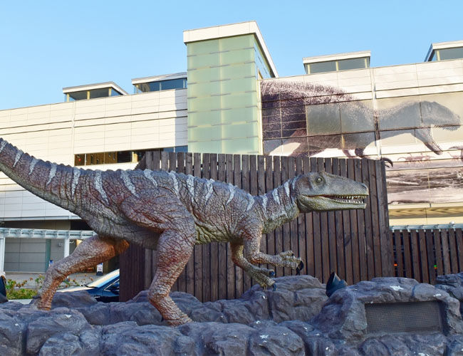 Katsuma Dinosaur Foerst Park