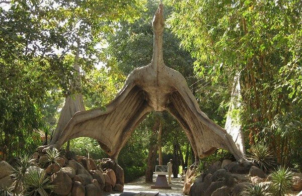 Indroda Dinosaur and Fossil Park