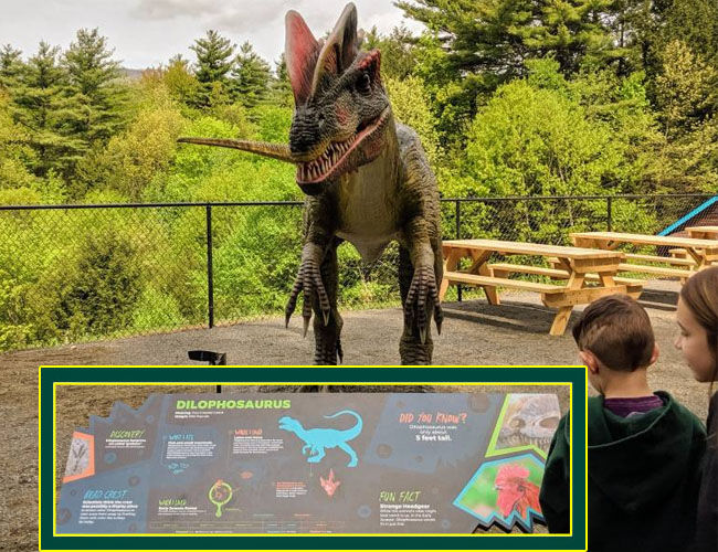 Animatronic Dilophosaurus and Acrylic Sign Animatronic Dilophosaurus and Acrylic Sign