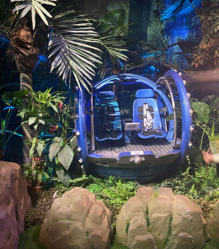 Indoor Plant and Rock Decorations