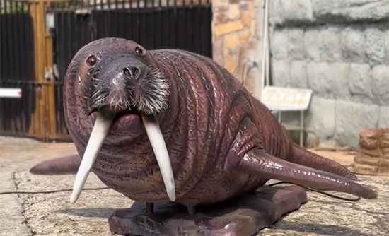 Animatronic Walrus Animatronic Walrus