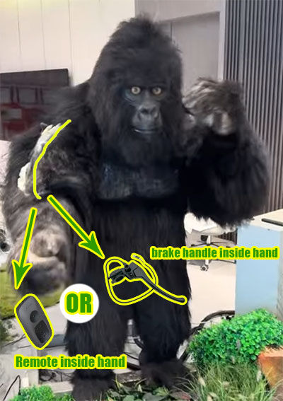 Eyes Operation Mode Display inside Animatronics Costume