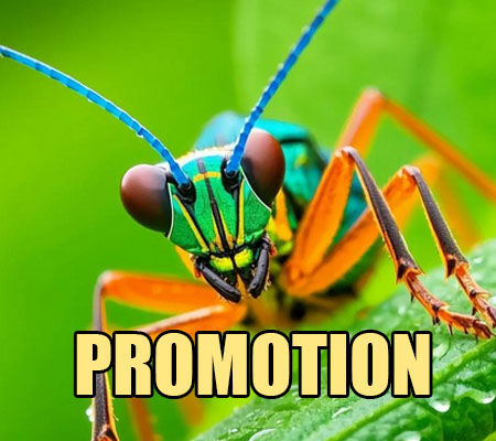 Promotion for Insect Expo