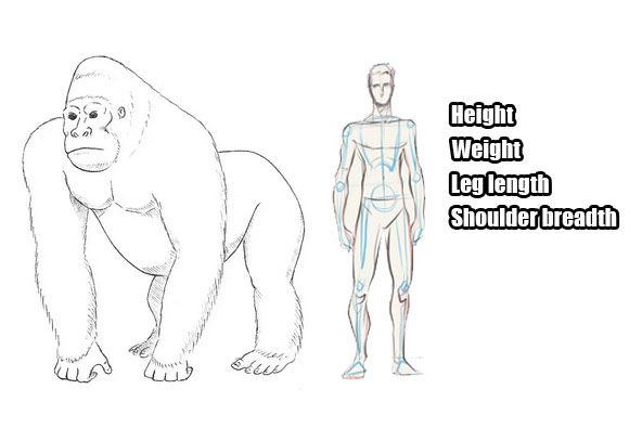 Sketch Design for Animatronics Costume