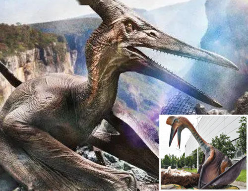 Pteranodon Replica at Factory