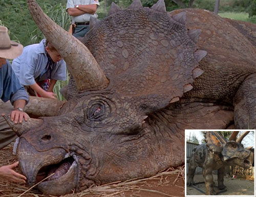 Triceratops Replica at factory