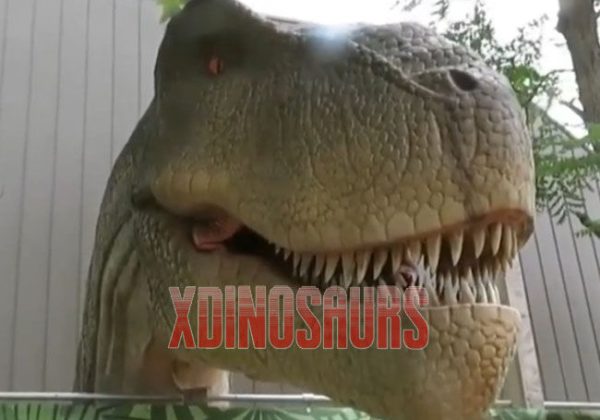 Trex Head Animatronics